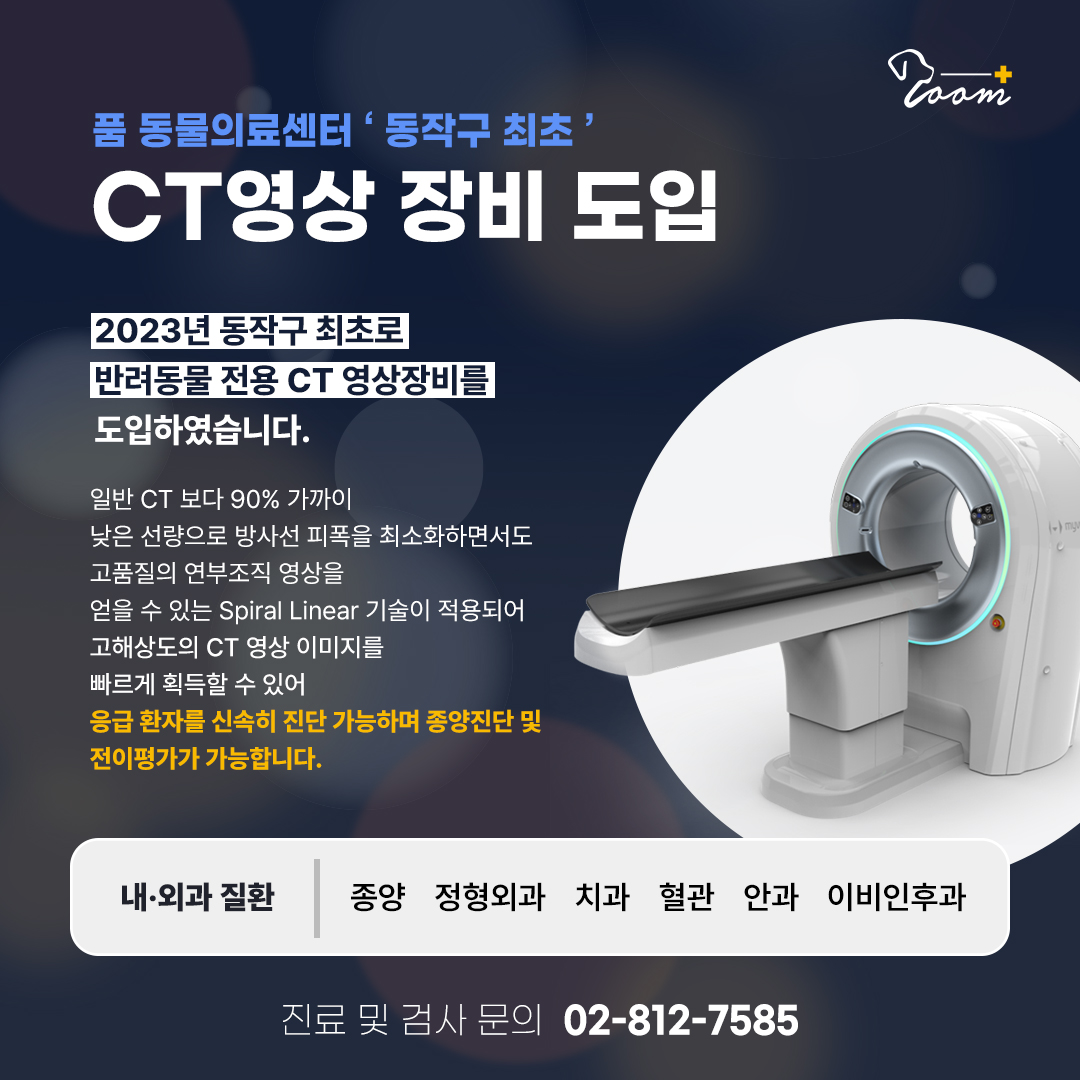 CT 장비 안내